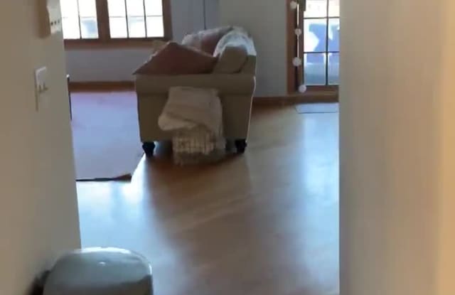 3338 North Sheffield Ave. Apt. property video