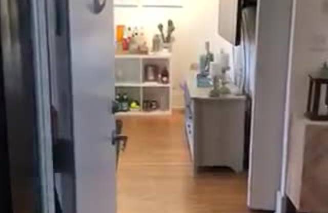 1849-51 W Cornelia / 3449-55 N Wolcott property video