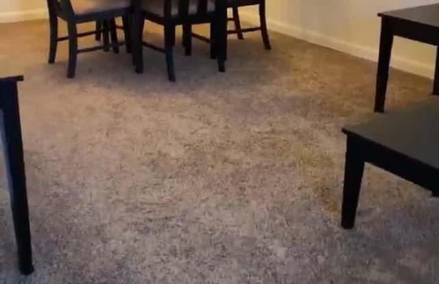 Willow Shores property video