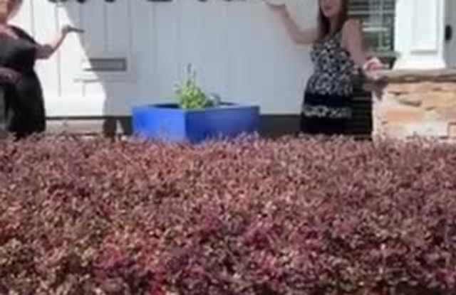 Fox Run property video