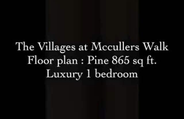 Ygnacio Village property video