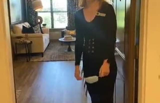 Arielle Spring Plaza property video