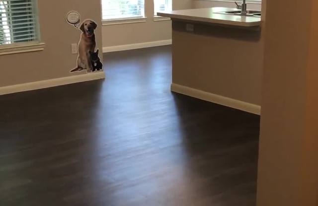 Raveneaux property video