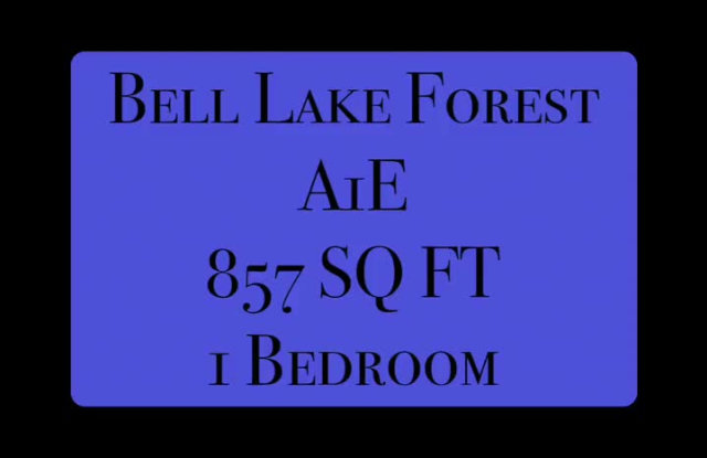 Bell Lake Forest property video