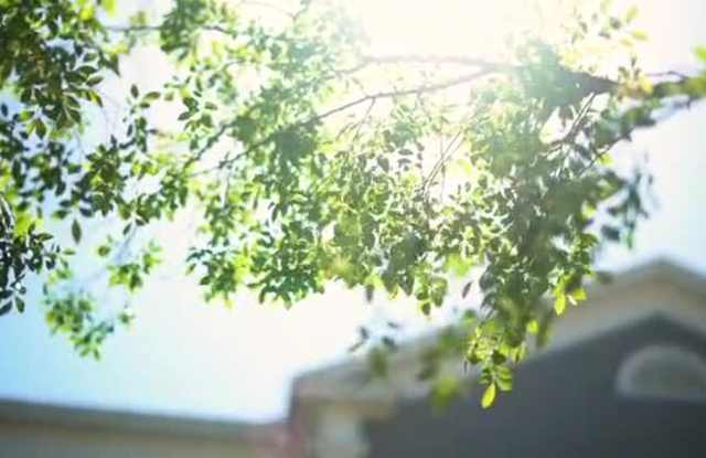 Carrington at Schilling Farms property video