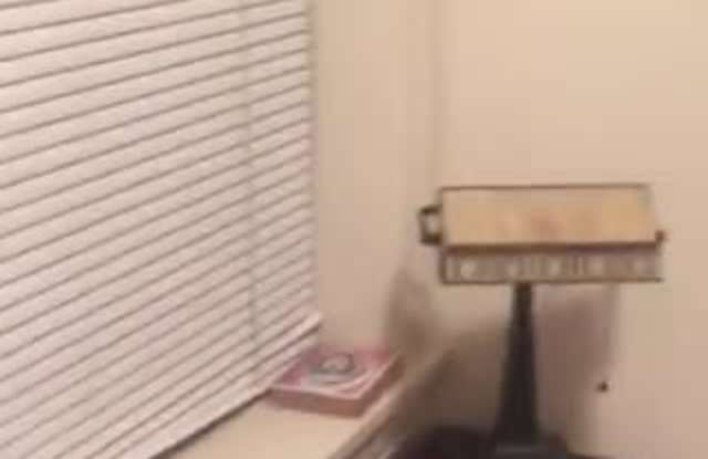 622 W. Roscoe Apt. property video
