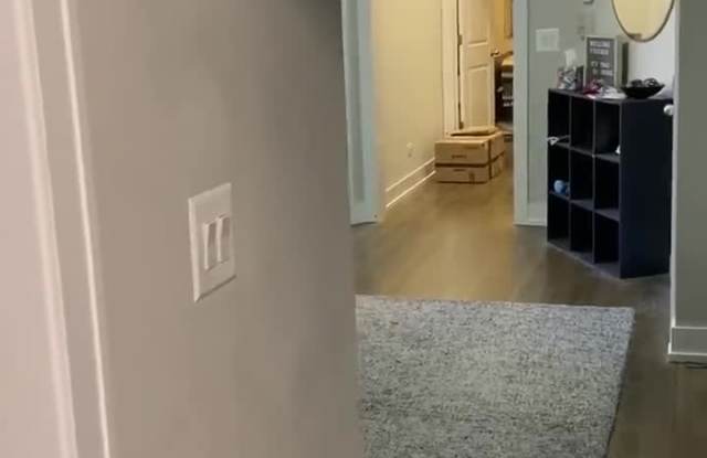 849-53 W Lill property video