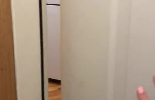 1319 W Belmont property video