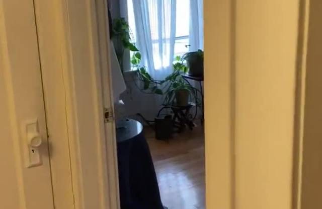 2455 West Logan Blvd property video