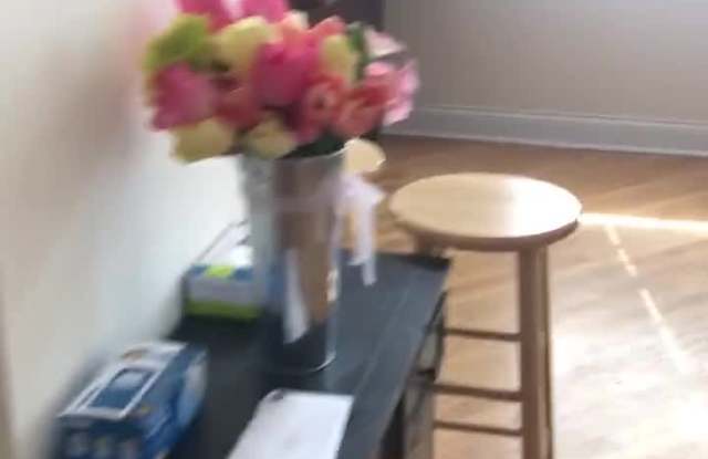 2927 North Southport Ave. property video