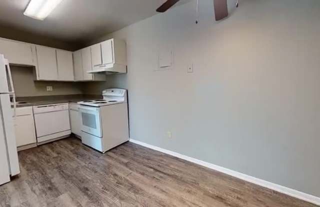 Pikes Place on San Miguel property video