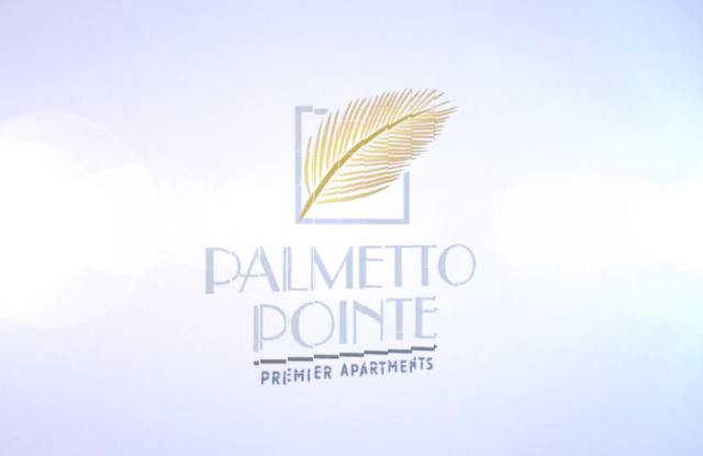 Palmetto Pointe property video