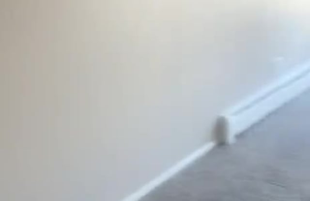Z53 Apartments property video
