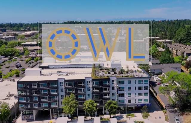 Owl property video