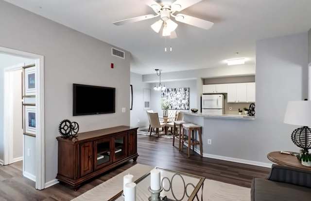 Bridge Pointe Apartments property video