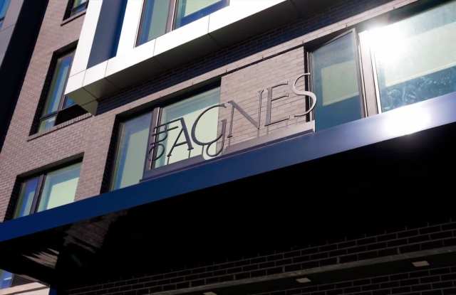The Agnes Co-Living property video