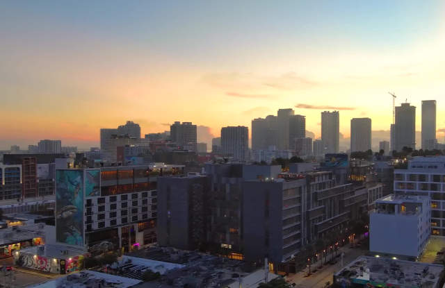Wynwood 25 property video