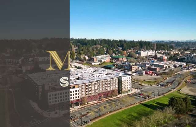 Alexan Main Street property video